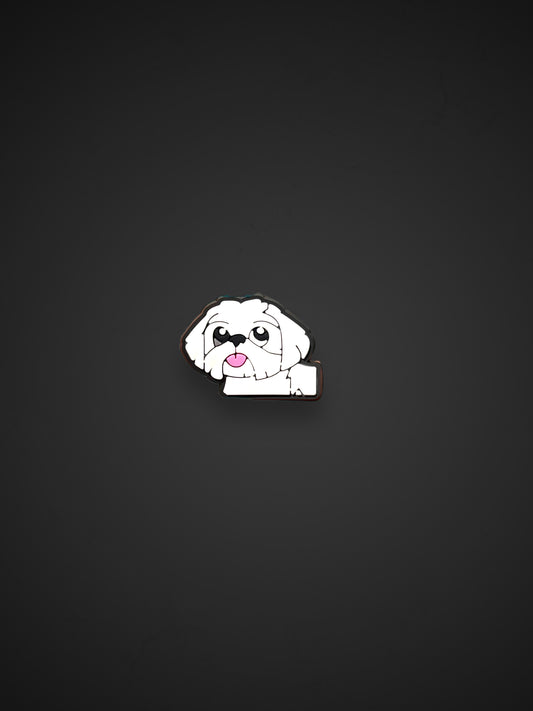 Dog Shih Tzu