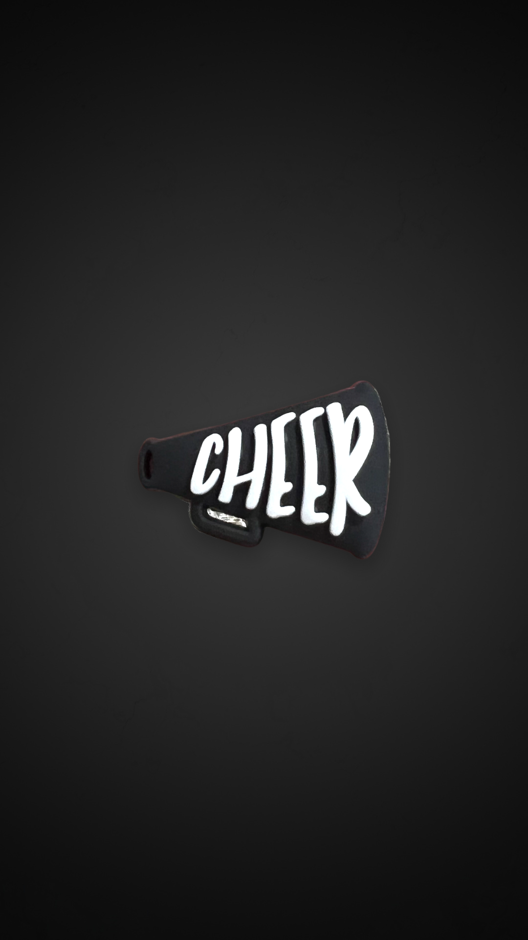 Cheer mic